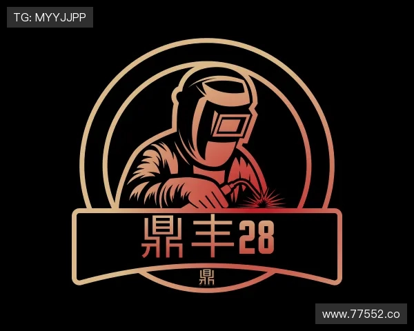 了解鼎丰28